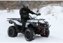 TGB Blade 550i - žiemos bandymas